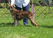 Umber