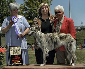 Reserve Winners Bitch - Hillevi
