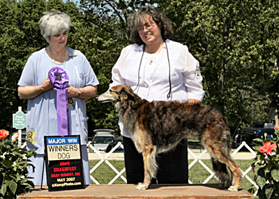 Winners Dog