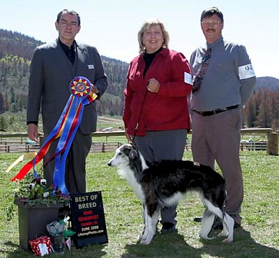 Best in Specialty 2008