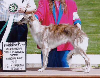 Best in Sweepstakes
