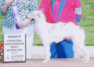 Reserve Winners Bitch