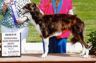 Reserve Winners Dog