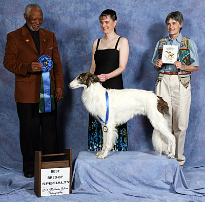 Best Bred-by Exhibitor