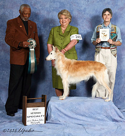 Best Vet/AOM
