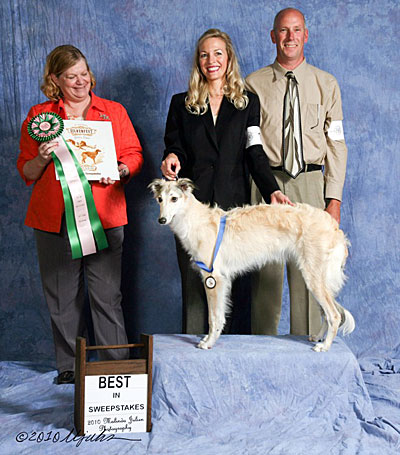 Best in Sweeps