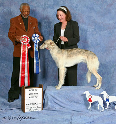 Winners Dog