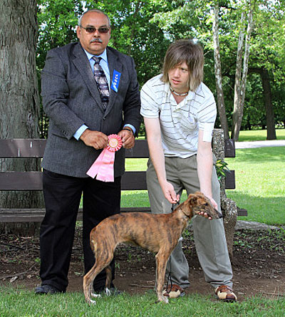 Sweepstakes 3-6 Months Dog