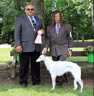 Vet Sweepstakes 7-10 Yr Bitch