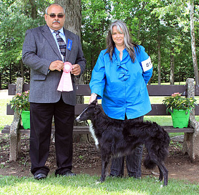 9-12 Months Dog Sweepstakes