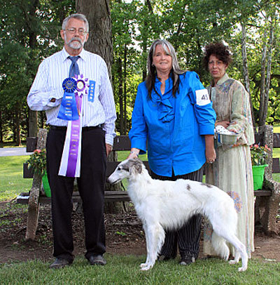 Bred-by Exhibitor Dog