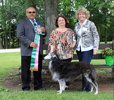 Best in Veteran Sweepstakes