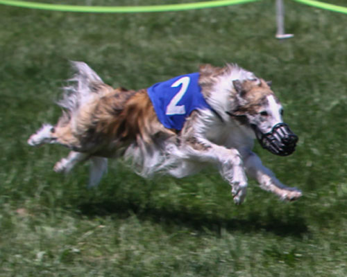 LGRA Meet Winner