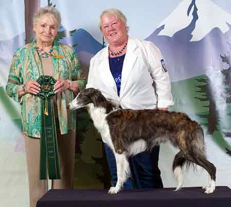 Award of Merit