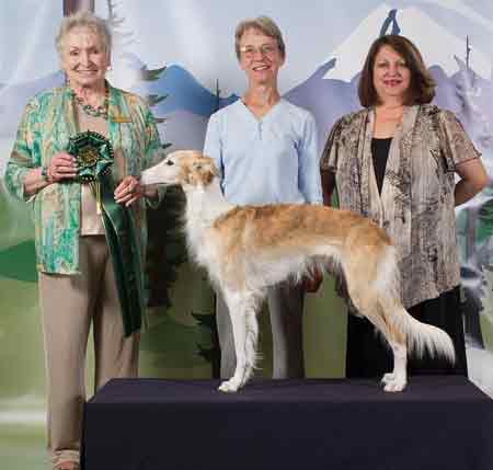 Award of Merit