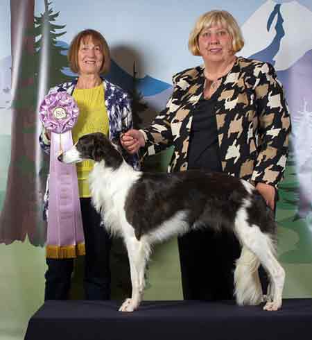 Best Opposite Puppy in Sweeps