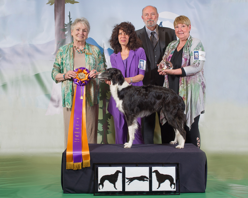 Best in Specialty Show - SilkenFest 2014