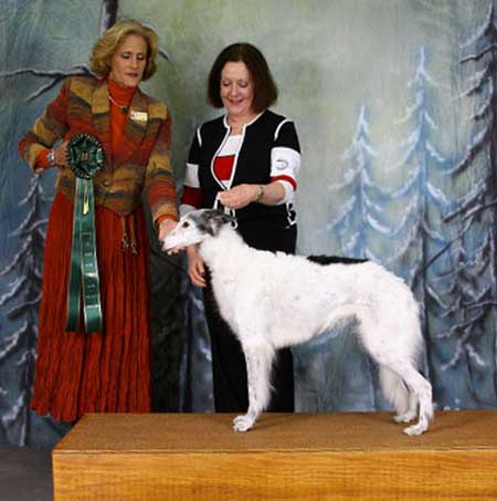 Award of Merit