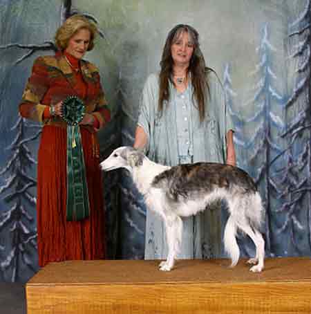 Award of Merit