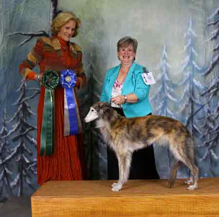Award of Merit