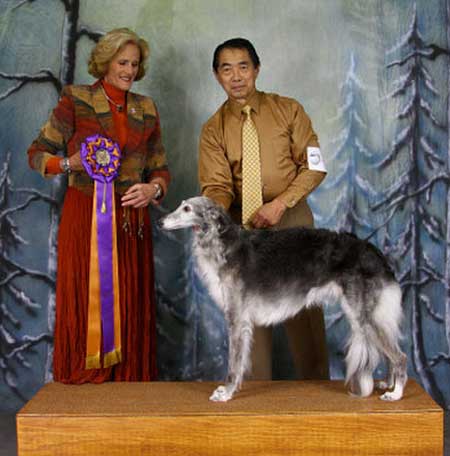 Best in Specialty Show - SilkenFest 2015