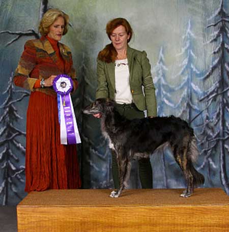 Reserve Winners Bitch