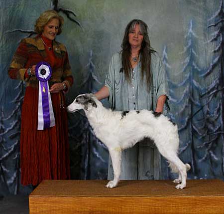 Reserve Winners Dog