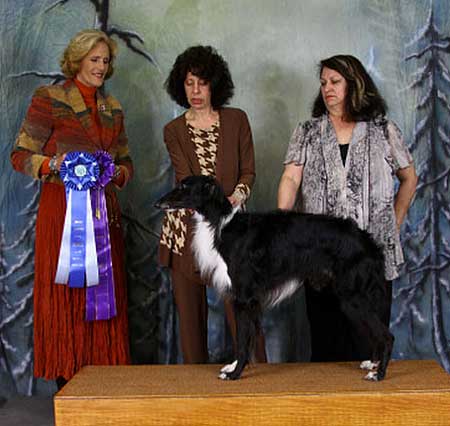 Winners Dog