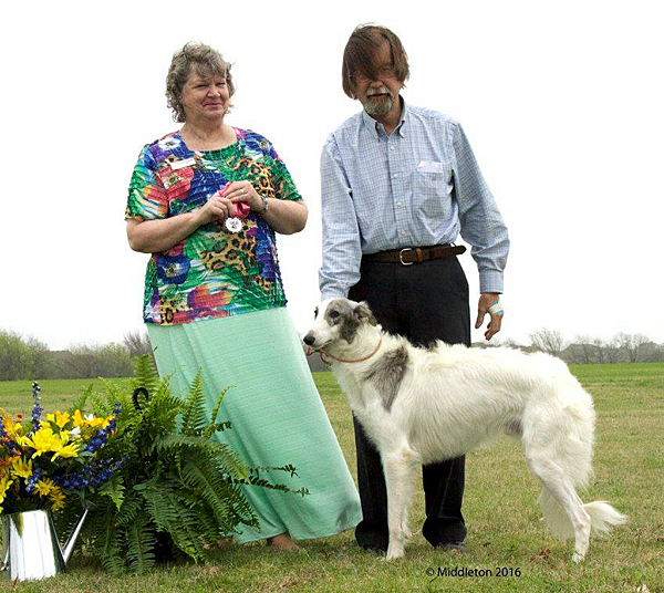 12-15 Month Dog Winner
