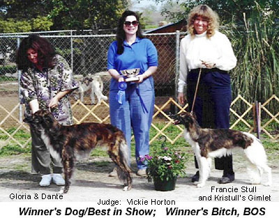 Silkenfest 2001 Winners