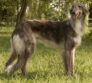 Duncan